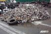 Автомобильные шины и брусчатка в центре Киева