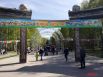 В парке Бориса Лосева был организован настоящий Город Детства.