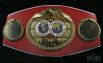 Чемпионский пояс IBF стал собственностью Владимира Кличко 22 апреля 2006 года
