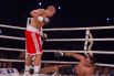 Усик нокаутировал Кренса