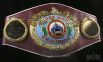 Чемпионский пояс WBO. Владимир Кличко дважды выигрывал этот пояс – в 2000 и 2008 годах
