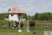 Солдаты учили журналистов выживать на войне