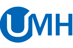 UMH group
