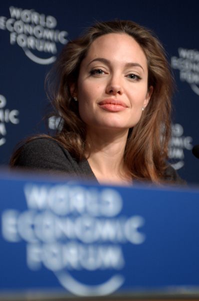 Общественная и политическая активность Анджелины Джоли не ограничивается лишь поездками в бедствующие страны – она выступала с докладом на Всемирном экономическом форуме в Давосе в 2005 году и других крупных встречах в США и Европе.