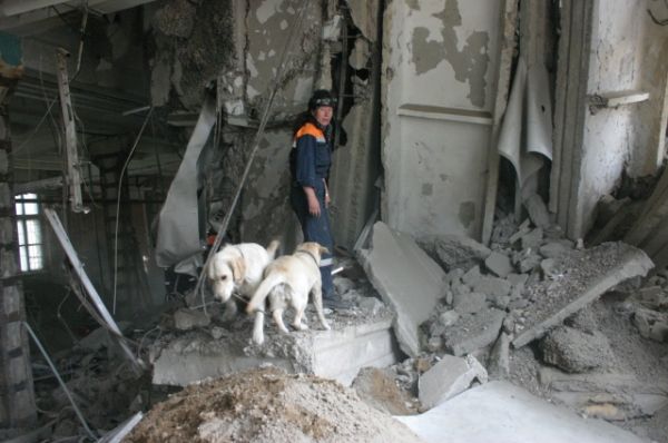 Собаки ищут людей после взрыва дома на ул. Телевизорной в 2009 году.