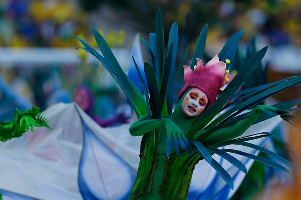 Постановщики шоу стремились показать миру уникальность природы Бразилии, олицетворяя растения страны в костюмах актеров.