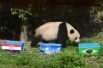 В Китае к предсказанию футбольных матчей животными подошли с большим размахом. Для этого местные учёные отобрали несколько детёнышей панд, которым будут показаны три корзины с едой и победителя предстоящего матча. Относительно матча-открытия Бразилия – Хорватия панды оказались правы, также поставив на Бразилию.