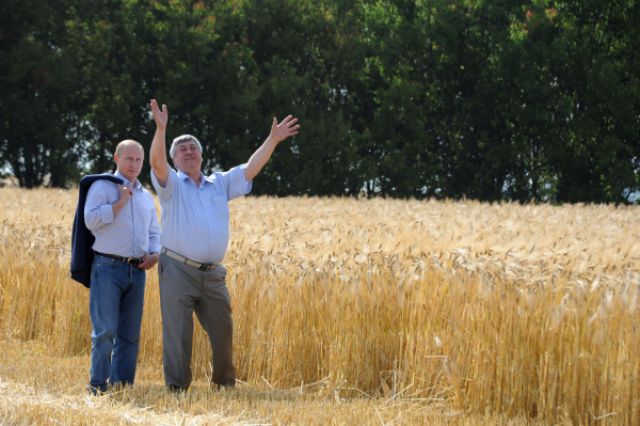 Владимир Путин и председатель сельскохозяйственного производственного кооператива «Россия» Сергей Пьянов во время осмотра ячменного поля.