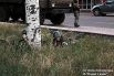Боевики в Красном Лимане
