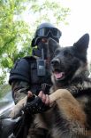 Петр Порошенко побывал в зоне АТО