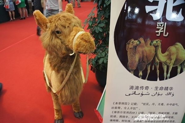 В Китае тоже есть верблюды.