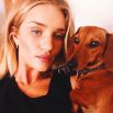 Подруга голливудского мачо Джейсона Стэтхэма – «один из ангелов» Victoria's Secret и главная героиня фильма «Трансформеры» Роузи Хантингтон-Уайтли