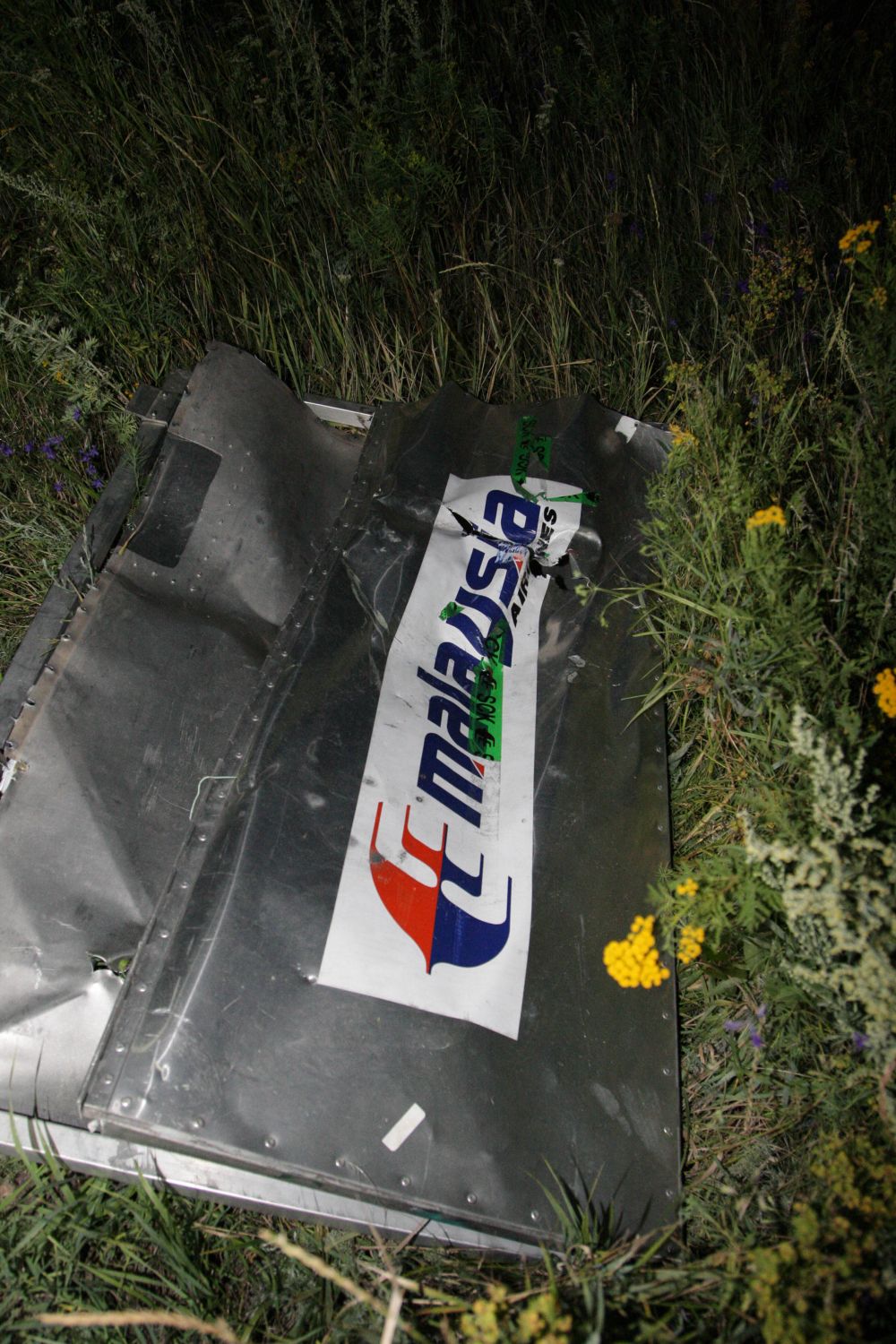 Самолет принадлежал компании Malaysia Airlines