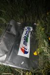 Самолет принадлежал компании Malaysia Airlines