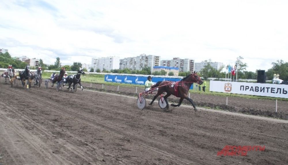 Соревнования по конному спорту.