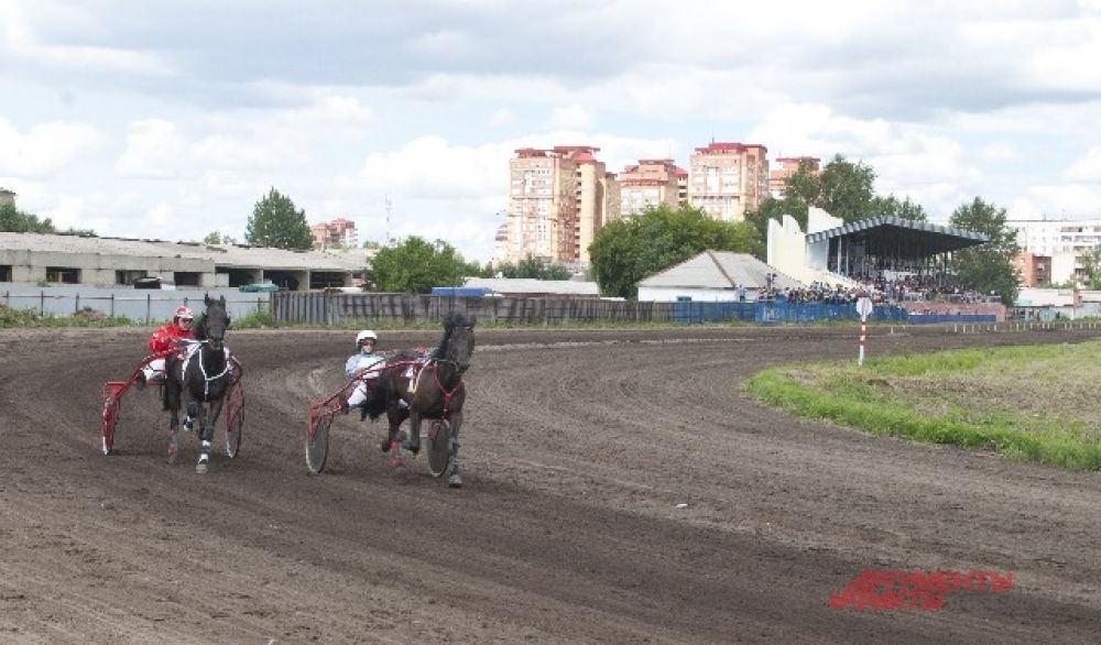 Соревнования по конному спорту.