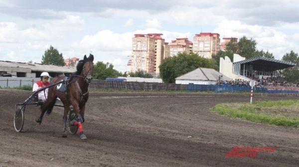 Соревнования по конному спорту.