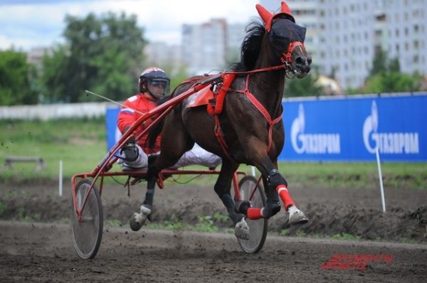 Конные соревнования состоялись в Омске.