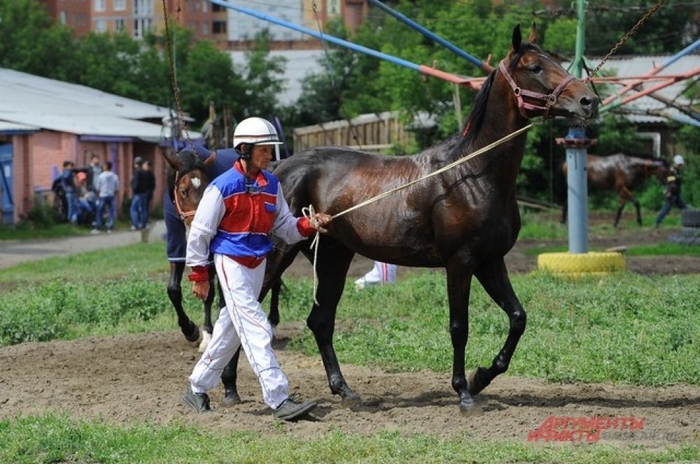 Конные соревнования состоялись в Омске.