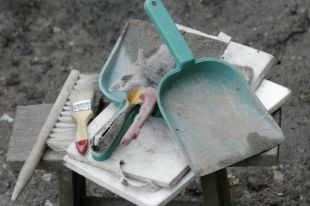 Раскопки теперь смогут посетить омичи.