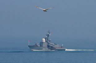 Начало праздника - корабли встают на заданные точки.
