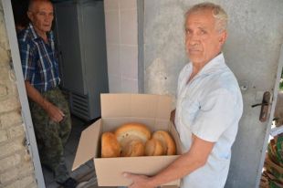 Волонтеры