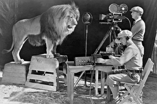 Запись львиного рыка для логотипа киностудии Metro-Goldwyn-Mayer, 1929 г.