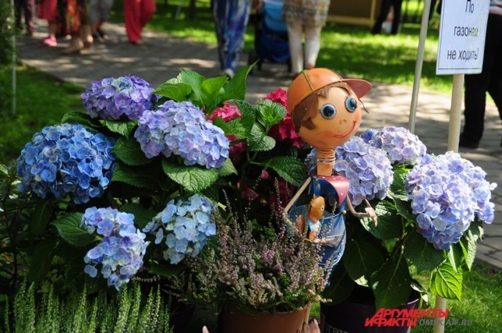 Выставка «Флора-2014» в Омске.