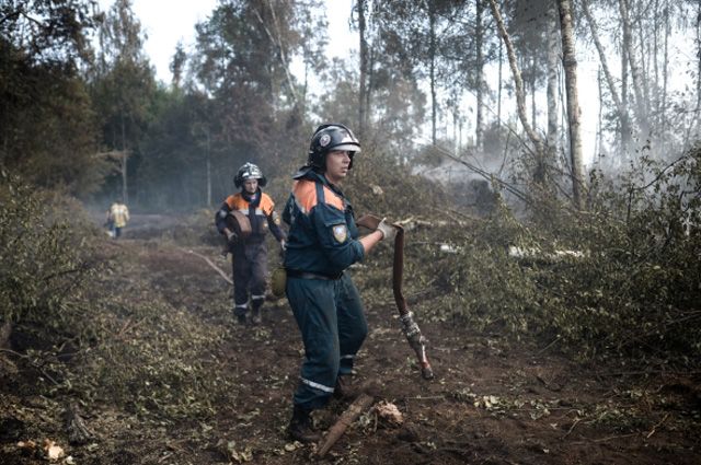 Сотрудники МЧС на месте лесных пожаров в Тверской области 