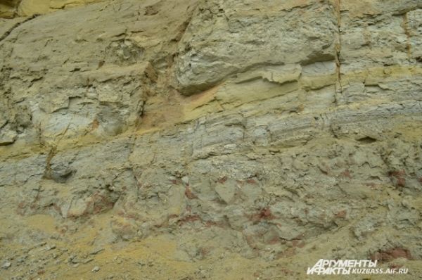 Существует гипотеза, что 130 миллионов лет назад динозавры приходили сюда поесть вкусной глины. Но почва здесь была размытой, зыбкой. Крутые берега обваливались и хоронили целые семьи ящеров.