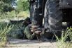 Учения морской пехоты и танковых войск на военном полигоне вблизи Болграда