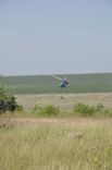 Учения морской пехоты и танковых войск на военном полигоне вблизи Болграда