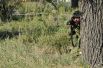 Учения морской пехоты и танковых войск на военном полигоне вблизи Болграда