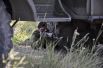 Учения морской пехоты и танковых войск на военном полигоне вблизи Болграда