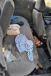 Силы АТО уничтожили под Горловкой автомобиль сепаратистов