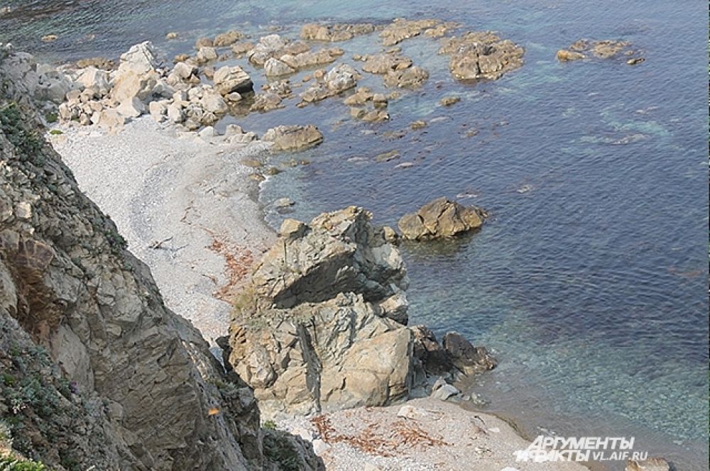 Сихотэ-Алинь берёт начало от побережье Японского моря.
