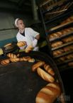 Как выпекаются хлеб и батоны на комбинате в Киеве