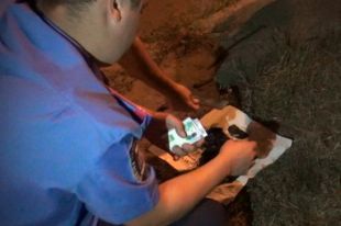 Изъятые наркотики