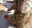 Последние тренировки новобранцев батальон «Киев-1» перед выездом в зону АТО