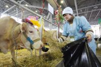  Ответные санкции России дают шанс молочному производству?