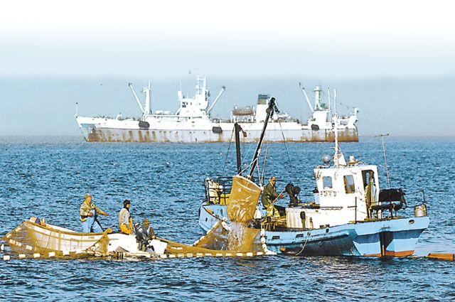 Курильские рыбаки способны компенсировать нам потерю импорта морепродуктов.