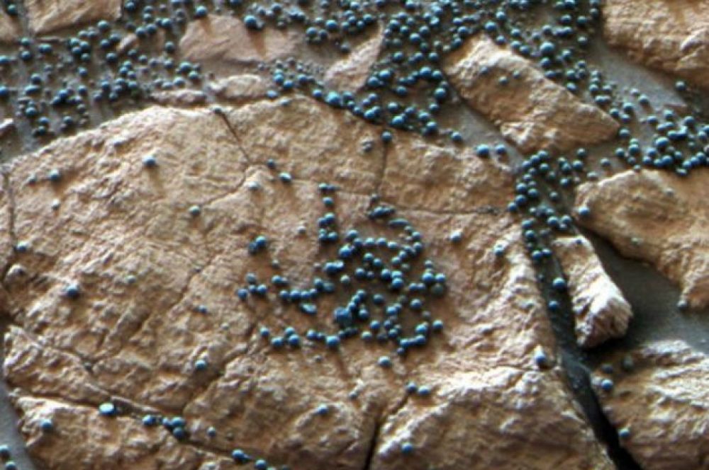 Марсоход Opportunity прислал снимки «черники» в 2004 году. Шарики, оказалось, состоят из гематита.