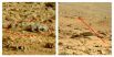 Рельеф на снимке, сделанном марсоходом «Curiosity», выглядит, как окаменелый скелет ящерицы.