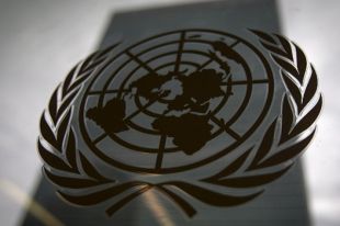 Заседание Совета Безопасности ООН в Нью-Йорке