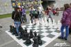 Не так-то просто разыграть партию в гигантские шахматы.
