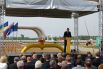 Яценюк открыл газопровод, обеспечивающий реверсные поставки газа в Украину