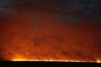 Ландшафтный пожар близ Ростова не могут быстро потушить 