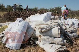 Под Бердянском местные жители строят укрепления