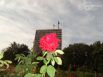 Мариуполь