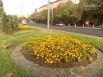 Мариуполь